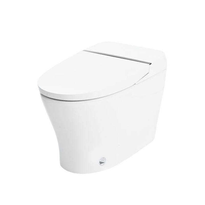 CASAINC 1-Piece 1.28/1 GPF Dual Flush Elongated Toilet in White - White