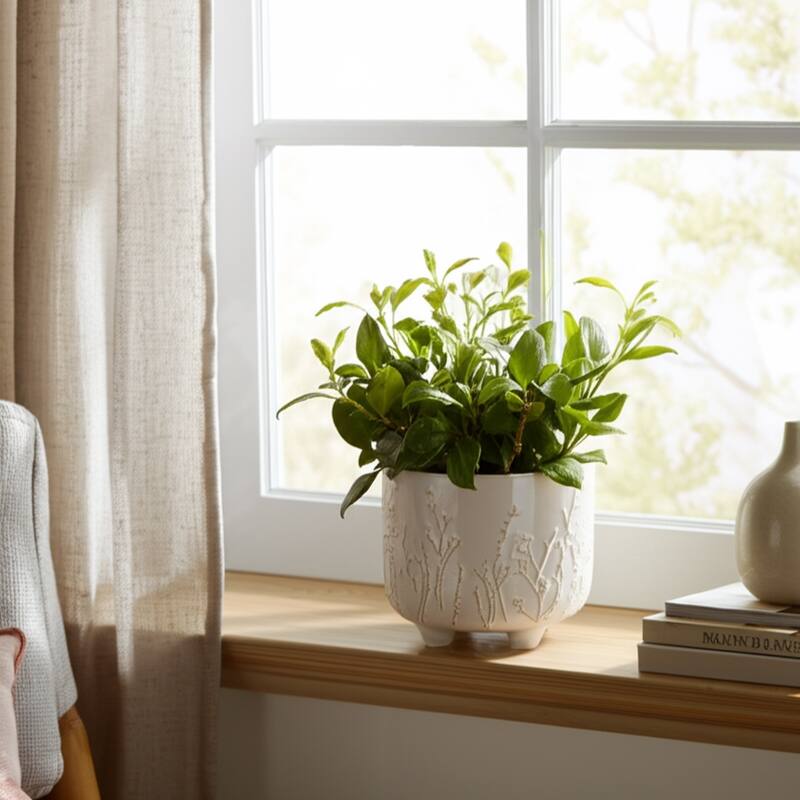 Stoneware Ceramic Planter Raised Botanical Relief Design Tripod Base - 6" x 6" x 5"