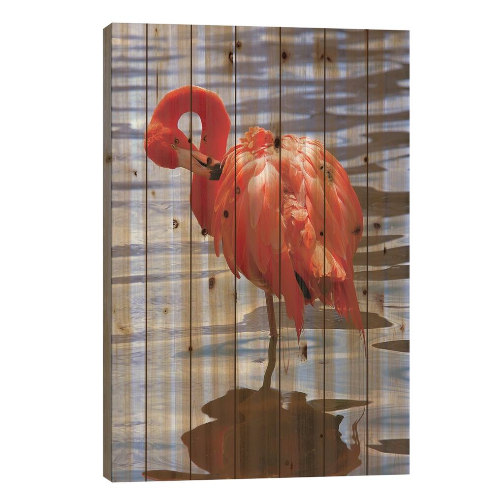 The Beautiful Flamingo Print On Wood by Lisa S. Engelbrecht - Multi-Color
