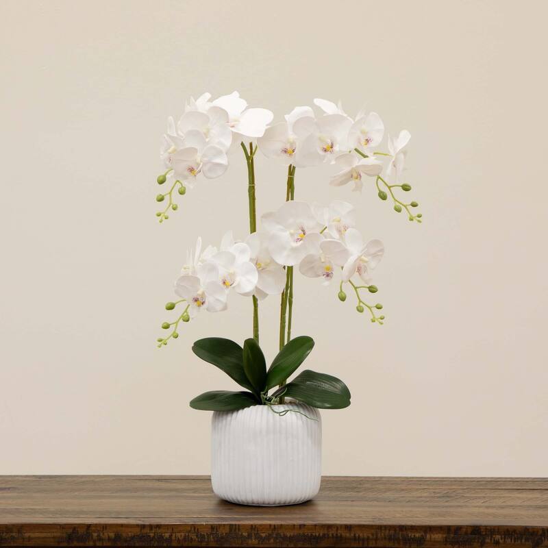 Phalaenopsis Orchid Floral Artificial Arrangement with Ceramic Vase - 26" - White