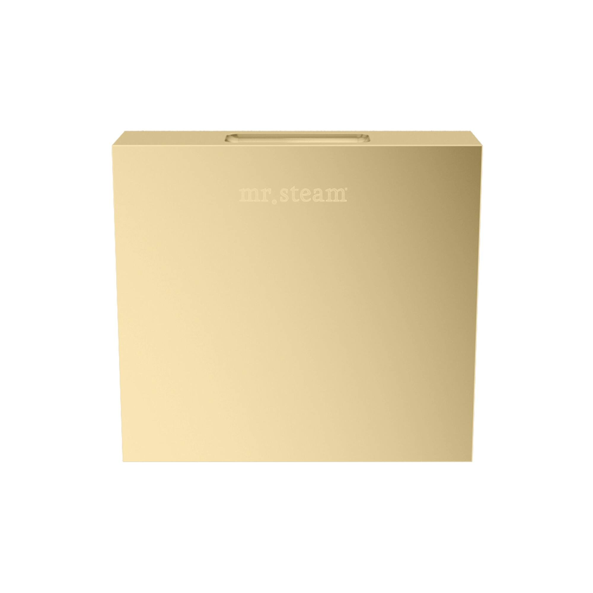 Mr Steam 104516 Designer Square 3