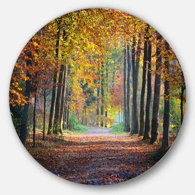 Designart 'Wide Pathway in Yellow Fall Forest' Landscape Photo Round Metal Wall Art