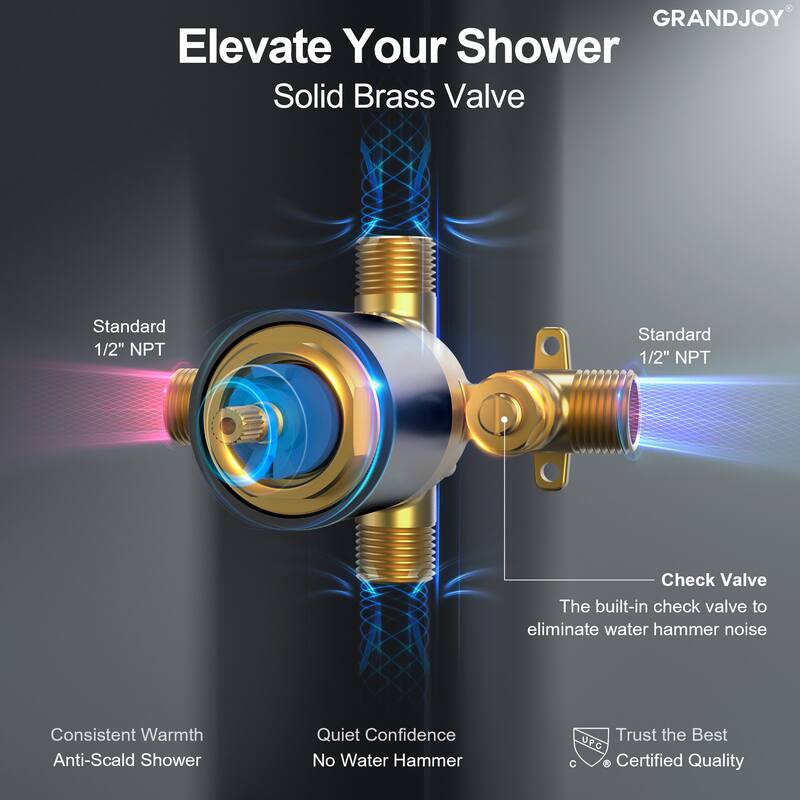GRANDJOY 5-Spray Wall Mounted Shower Faucet System with Valve