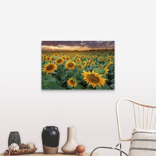 Shop A Beautiful Sunflower Field With Mountains In The Background Longmont Colorado Canvas Wall Art Overstock 16450763