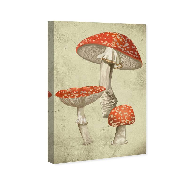 Wynwood Studio Canvas Floral and Botanical Mushroom Illustrated Notes II Red and Eggshell Traditional Wall Art Canvas Print