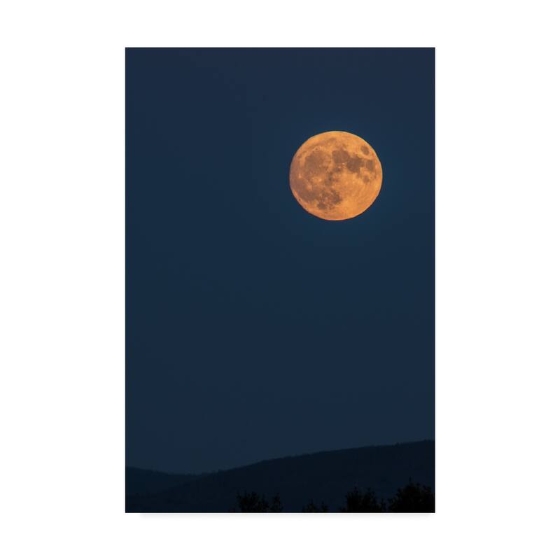 Brenda Petrella Photography Llc 'Supermoon Rise Over Ridge' Canvas Art