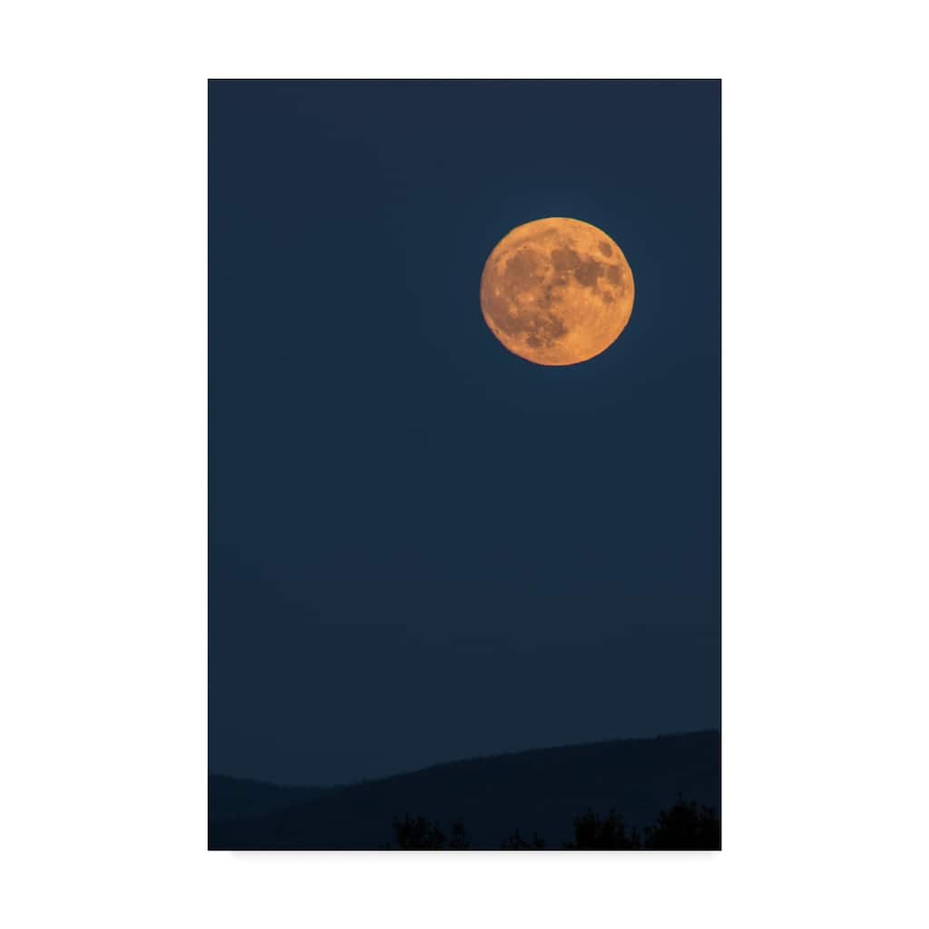 Brenda Petrella Photography Llc 'Supermoon Rise Over Ridge' Canvas Art