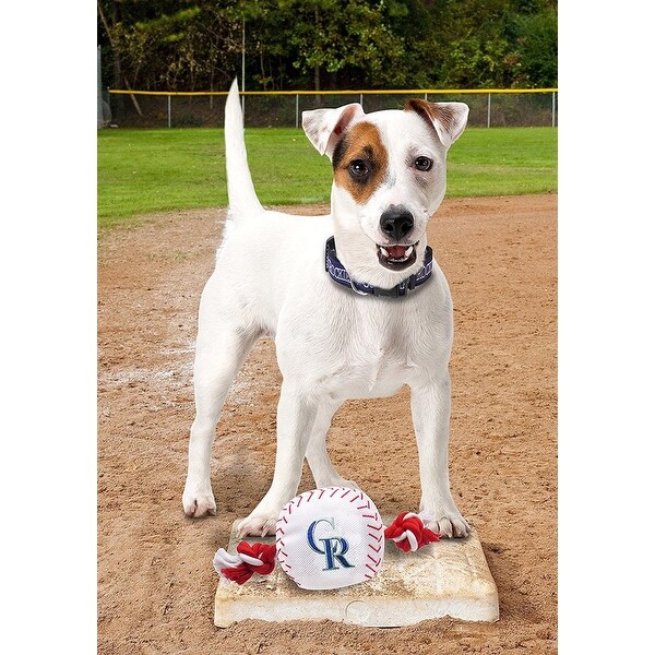 heavy duty squeaky dog toys