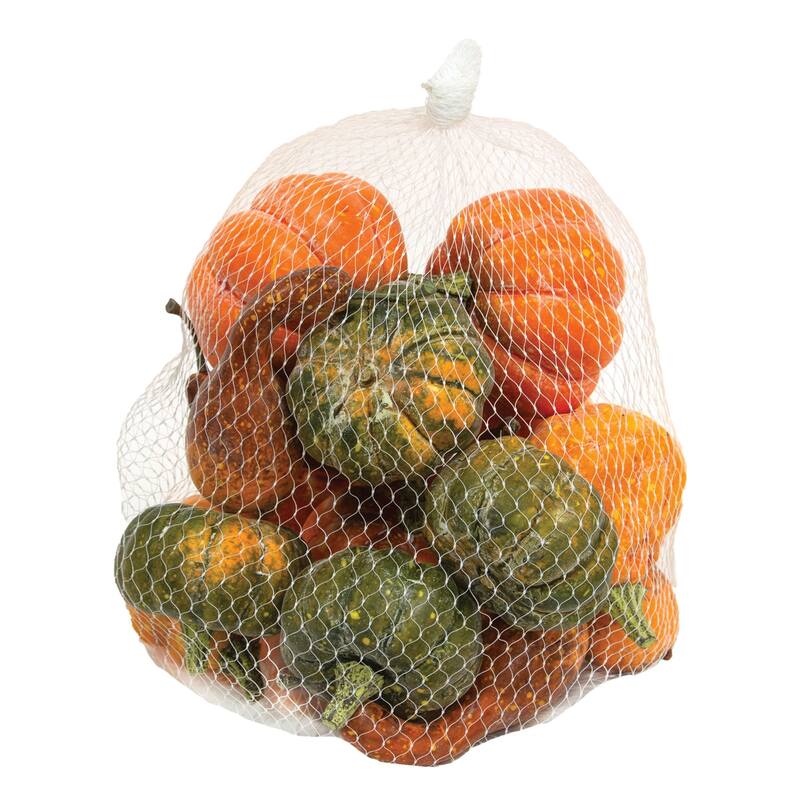 16/Pkg Colorguard Pumpkins & Gourds