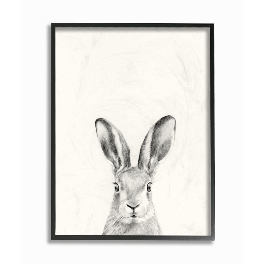 Stupell Bunny Rabbit Portrait Grey Drawing Design Framed Wall Art