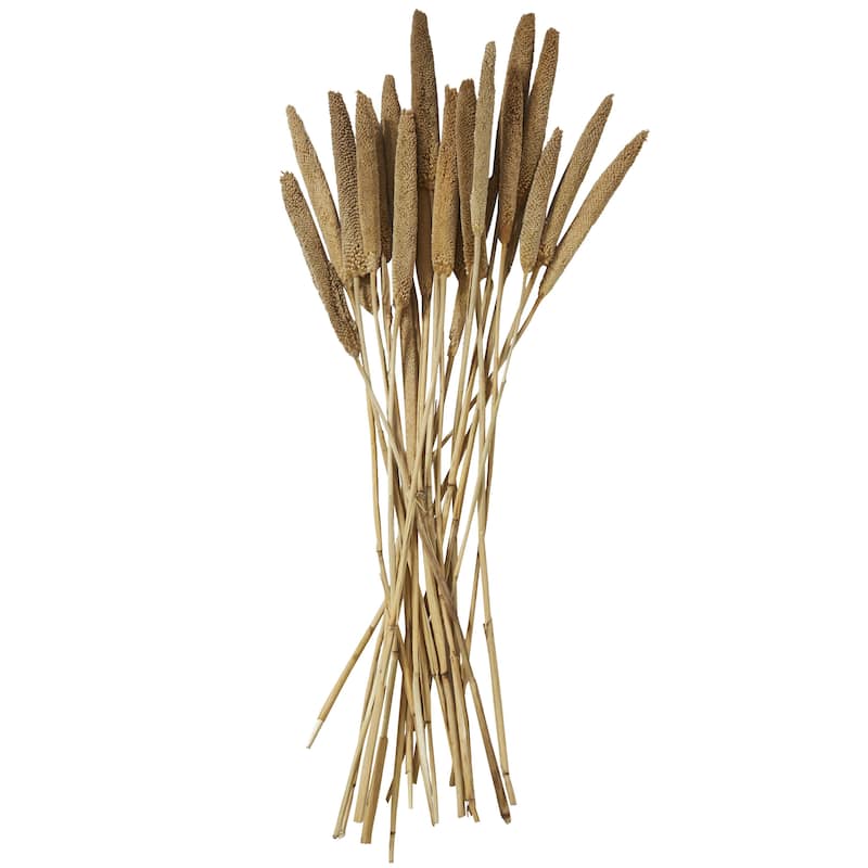 Dried Plant Bunny Tail Home Decor Natural Foliage - White, Red, Dark Brown, Orange, Green, Pink, Yellow - Roche River Decor - Brown