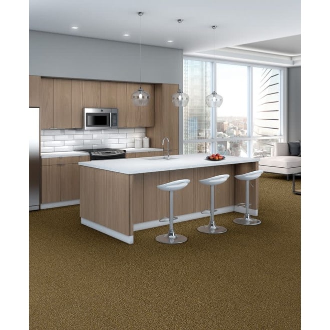 Shaw Philadelphia Commercial Knot it 18" x 36" Glue Down Carpet Tile -