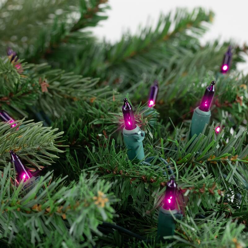 50-Count Purple Mini Christmas Light Set - Green Wire