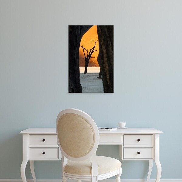 Easy Art Prints Jaynes Gallery's 'Namib
