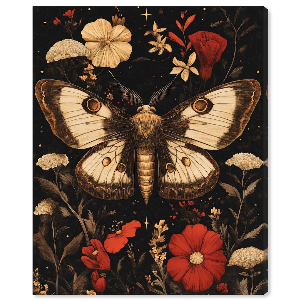 Flying Moth Canvas by Art Remedy, Gallery Wrapped