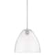 Option Satin Nickel / Clear