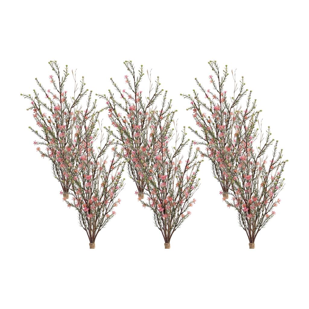 Leptospermum Bundle (Set of 6)