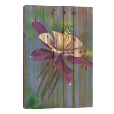 Colorado Blue Columbine Close Up Of Bloom, North America Print On Wood by Tim Fitzharris - Multi-Color