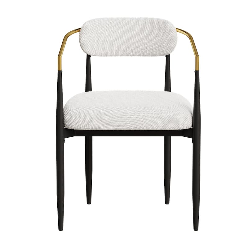 Dining Chairs Set of 2,Modern Dining Chairs,Teddy Velvet Chairs