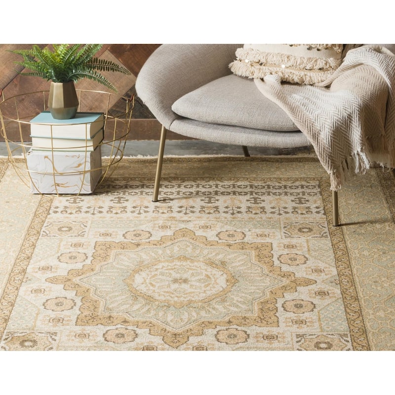 Traditional Cassia Collection Area Rug