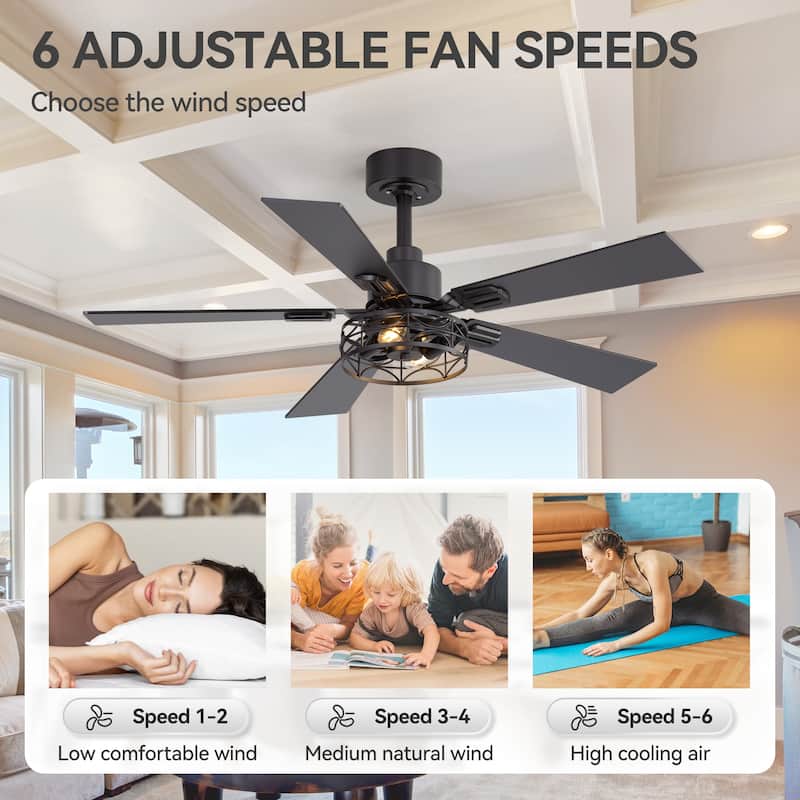 42" Reversible 5-Blade Caged Ceiling Fan with Light and Remote