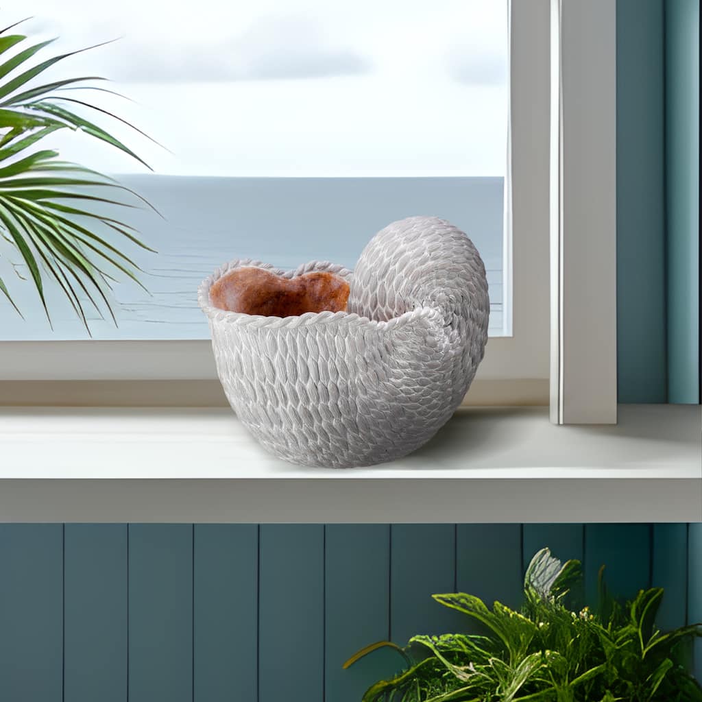 Resin 'Fabric Weave' Nautilus Shell 8.5" - 8.39