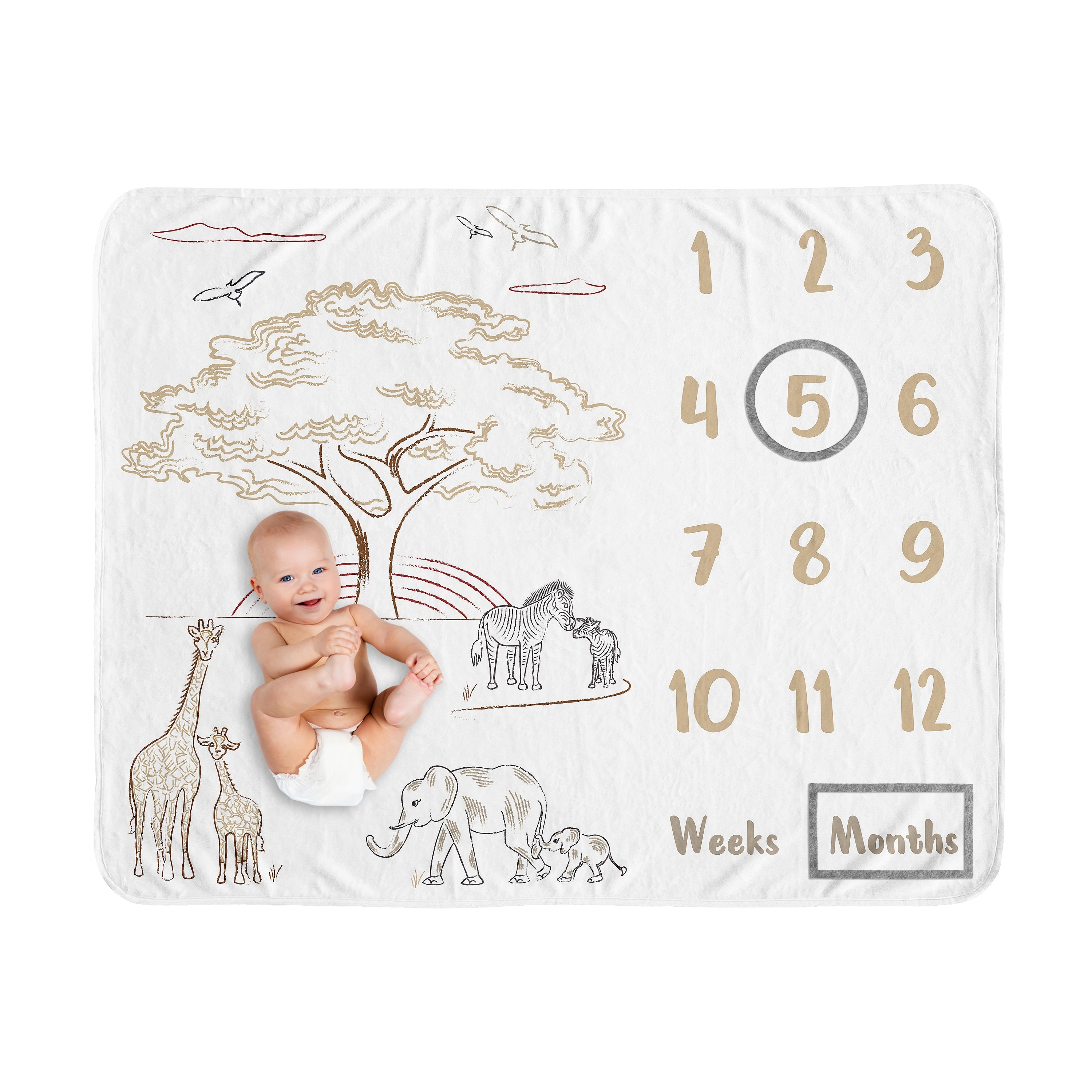 Sweet Jojo Designs Jungle Safari Animals Boy Girl Baby Monthly Milestone Blanket Taupe Black and White Gender Neutral Elephant