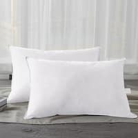 https://ak1.ostkcdn.com/images/products/is/images/direct/6642dafa59f04b3704abb56a1b5055da6c629019/Premium-Down-Fiber-Bed-Pillows-Set-of-2.jpg?imwidth=200&impolicy=medium