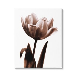 Stupell Modern Tulip on White Canvas Wall Art Design by Caroline Kelly ...