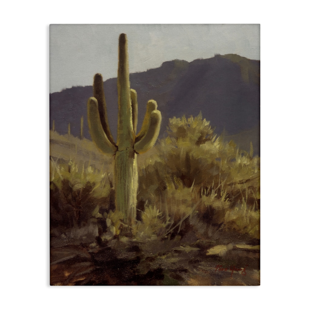 Stupell Bold Cactus Mountain Overlook Canvas Wall Art Design By Paco Young