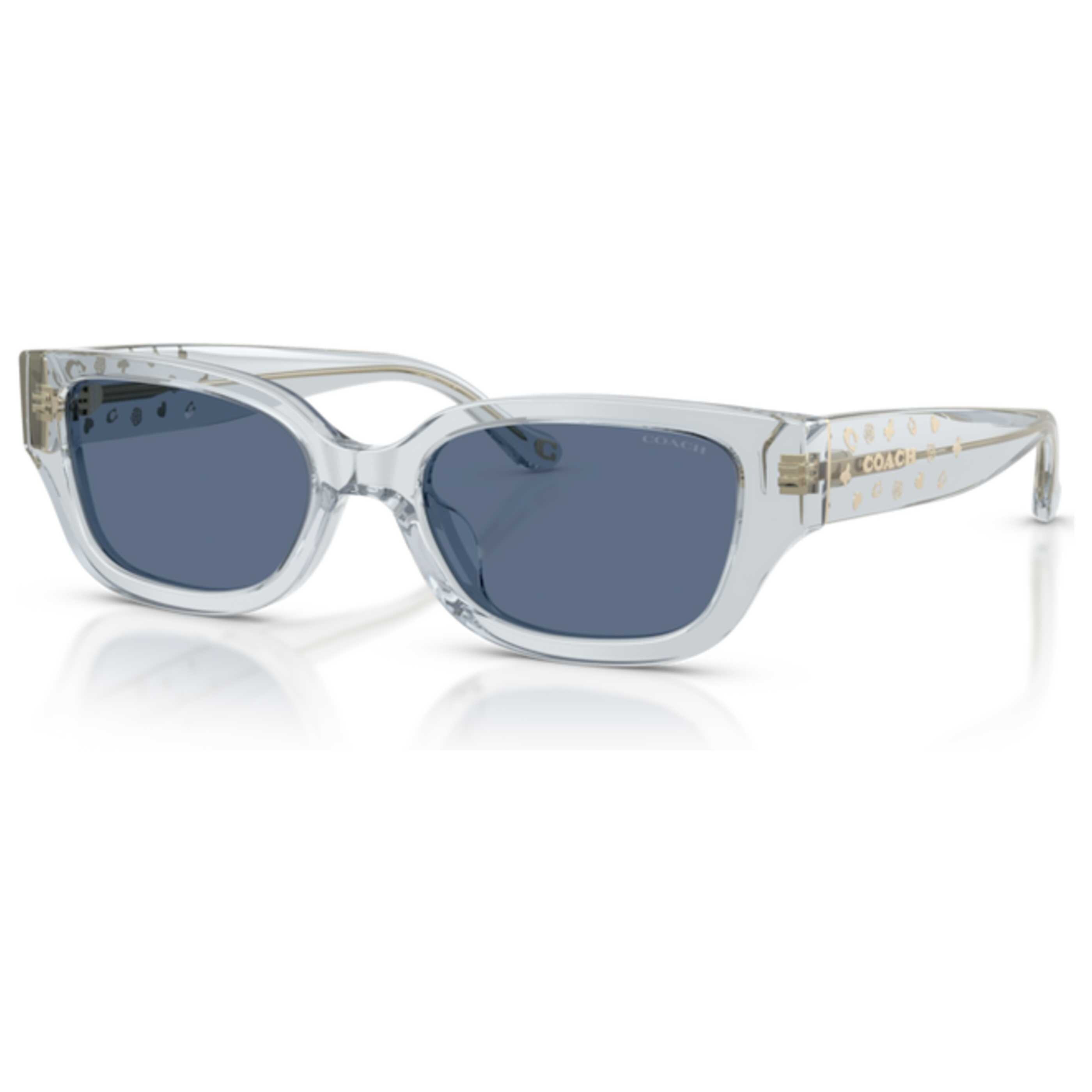 Coach Women's 53mm Transparent Light Blue Sunglasses HC8439U-590480-53 ...