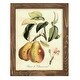 preview thumbnail 53 of 138, Printed Tuscan Fruits IV -Framed Print w/glass-Cherry Red 9x11 - Walnut