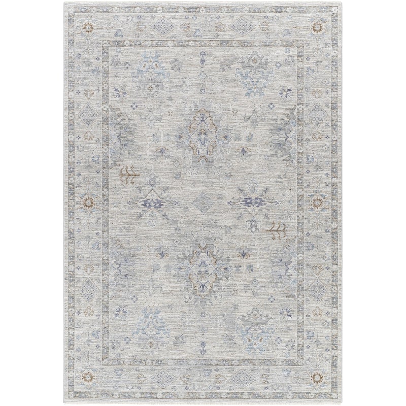 Hunza Updated Traditional Medallion Area Rug
