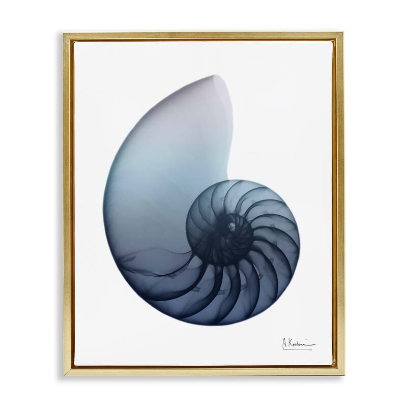 Stupell Contemporary Nautilus Shell Framed Floater Canvas Wall Art Design by Albert Koetsier
