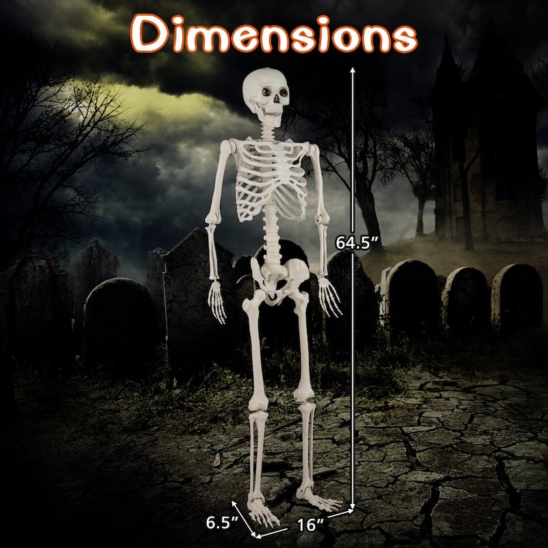 Gymax 5.4 FT Halloween Skeleton Decoration Life Size Large Skeleton w/