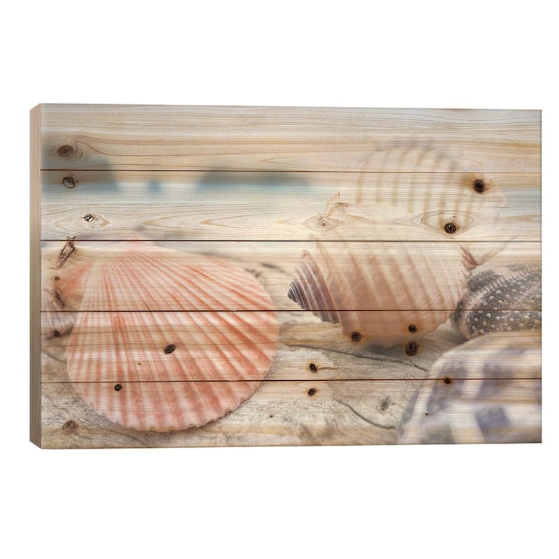 Crescent Beach Shells X Print On Wood by Alan Blaustein - Multi-Color - 18x26x1.5