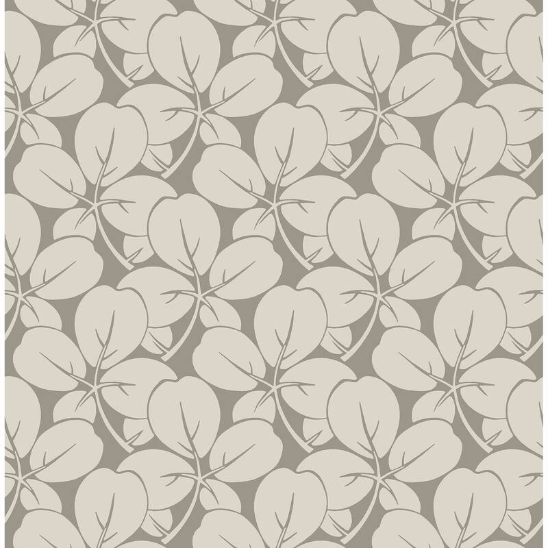 A-Street Prints Robert Grey Clover Wallpaper