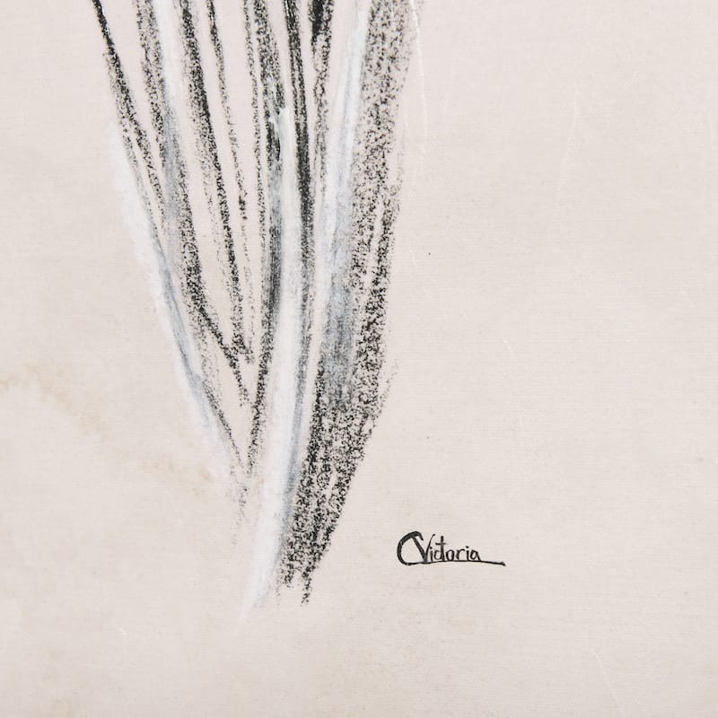 Dandelion Drawing II (40 x 60) Canvas Art Print