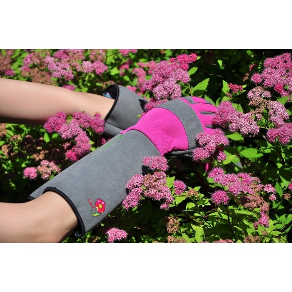 G & F Products Women's Long Sleeve Rose Gardening Gloves, Medium, 1 Pair -  Medium - Bed Bath & Beyond - 39896034