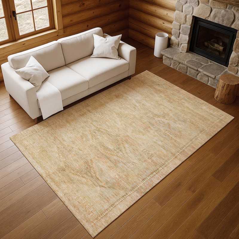 Premium Washable Super Soft Vintage Traditional Mayfield Rug