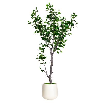 6 ft. Artificial East Ficus Tree in White Decor Pot - 31.5 in. W x 31.5 in. D x 72 in. H