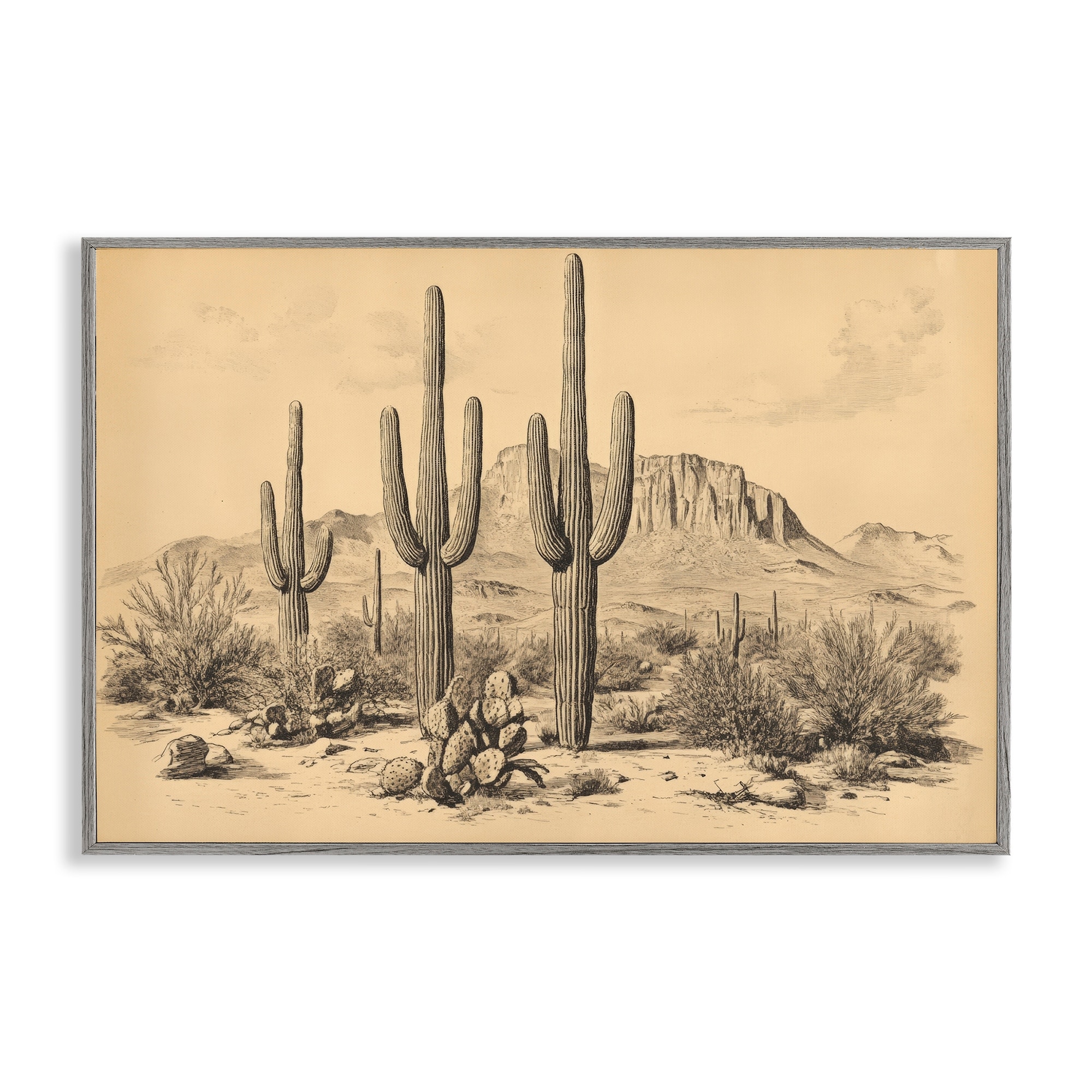 Stupell Cactus Desert Vintage Landscape Framed Giclee Art Design By Petal Prints Design