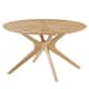 Option Oak