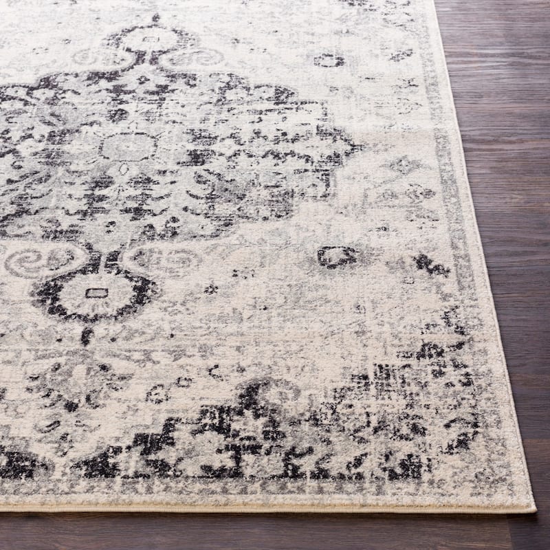 Livabliss Caressa Vintage Boho Area Rug