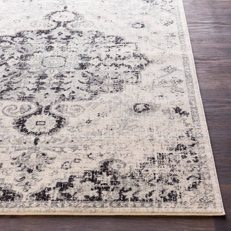 Artistic Weavers Caressa Vintage Boho Area Rug