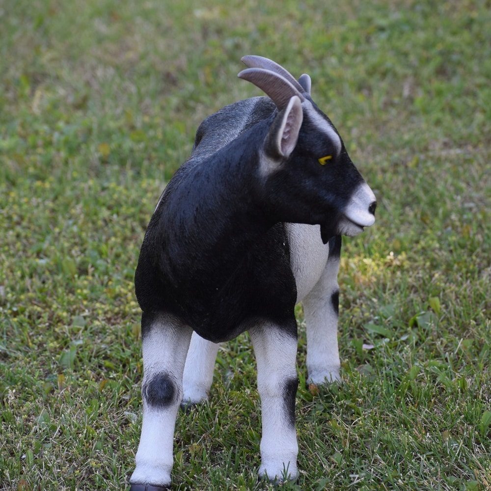 cement goat statue