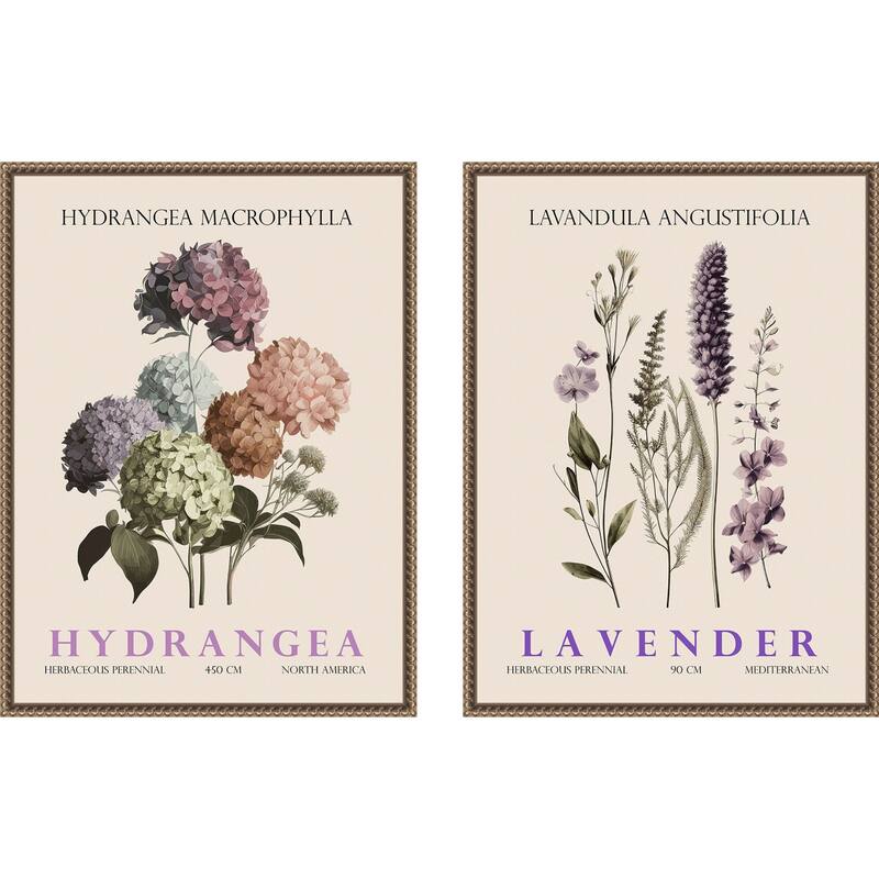 Amanti Art Vintage Hydrangea & Lavender 2 Piece by Christopher Giampietro Framed Canvas Wall Art