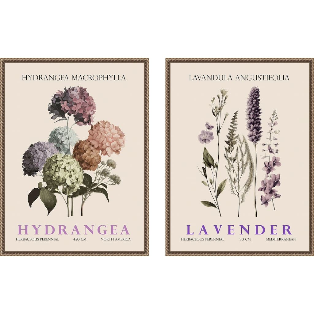 Amanti Art Vintage Hydrangea & Lavender 2 Piece by Christopher Giampietro Framed Canvas Wall Art