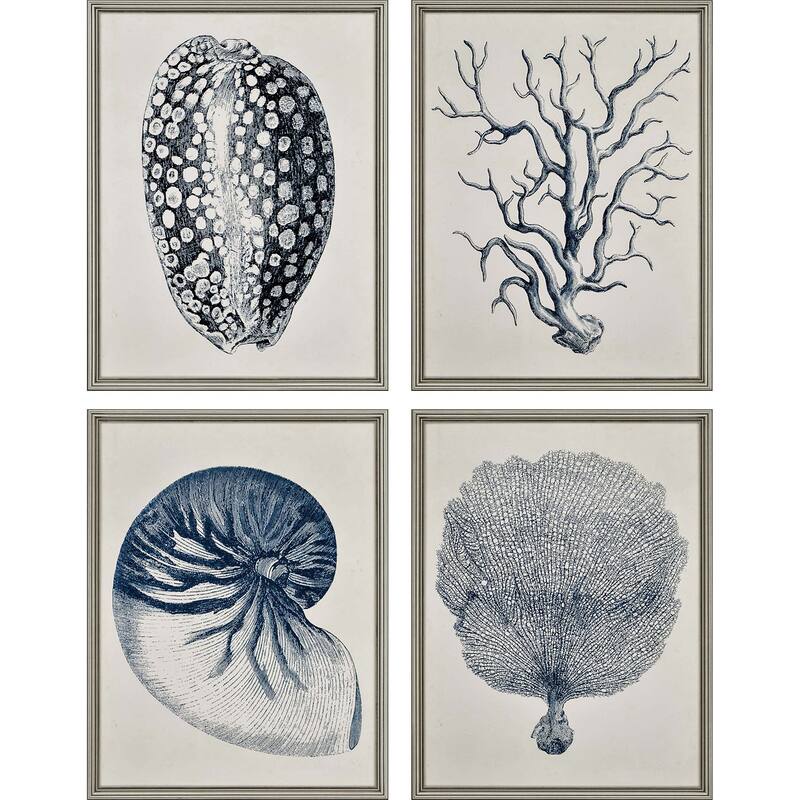 Coastal S/4 Framed Art Giclee Under Glass - Blue - 26 X 20 X 1