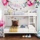 preview thumbnail 2 of 28, Full over Full Modern Design Metal Bunk Bed, Low Bunk Bed with Ladder, Easy Assembly, Metal Frame Construction, Black